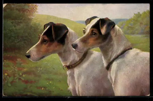 AK Zwei Terrier auf einer Wiese
