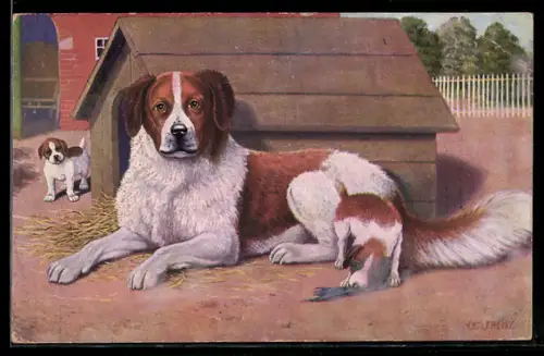 AK Bernhardiner mit Jungen vor der Hütte