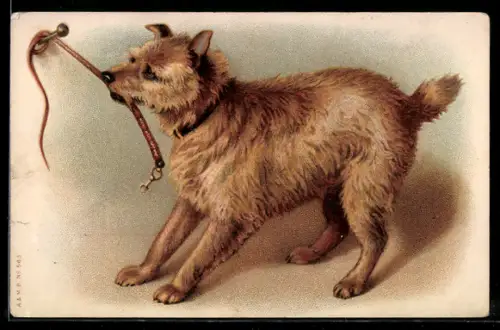 AK Terrier zerrt an Reitgerte