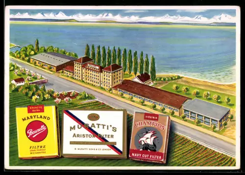 AK Neuchatel-Serrieres, Fabrique de Cigarettes, Brunette