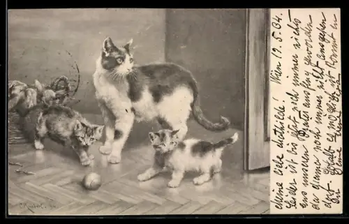 AK Katze mit ihrem Nachwuchs