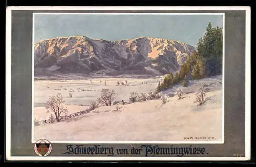 Künstler-AK Schneeberg, Ortsansicht von der Pfenningwiese, Deutscher Schulverein