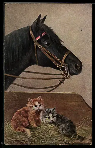 Künstler-AK M.Müller jun.: Pferd mit Kätzchen