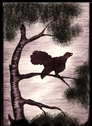 Künstler-AK Handgemalt: Auerhahn auf einem Baum