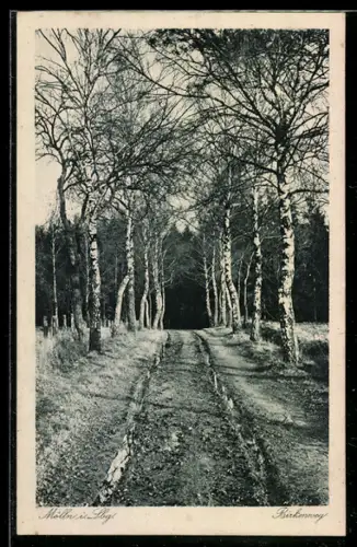 AK Mölln i. Lbg., Birkenweg