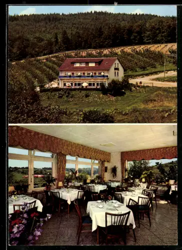 AK Leimen bei Heidelberg, Hotel-Restaurant Lingenthalerhof, Manfred Weber-Stahl