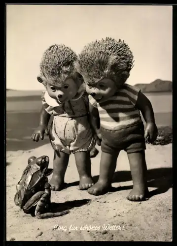 AK Igel Mecki's Kinder am Strand treffen auf einen Frosch