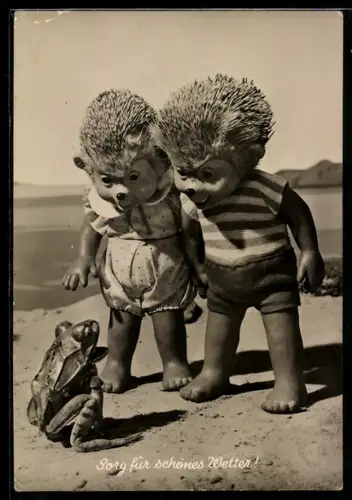 AK Igel Mecki's Kinder am Strand treffen auf einen Frosch