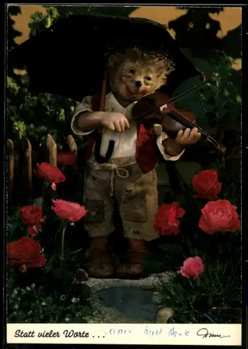 AK Mecki spielt Violine zwischen Rosen