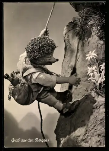 AK Igel Mecki beim Bergsteigen