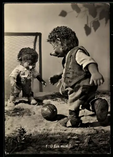 AK Igel Mecki und sein Sohn am Fussballtor