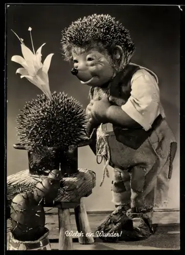 AK ...ei, wie bist Du schön!, Mecki bewundert einen blühenden Kaktus