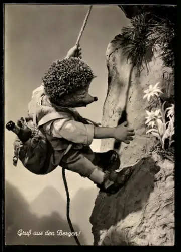 AK Igel Mecki beim Bergsteigen
