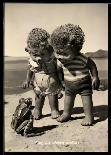 AK Igel Mecki's Kinder am Strand treffen auf einen Frosch