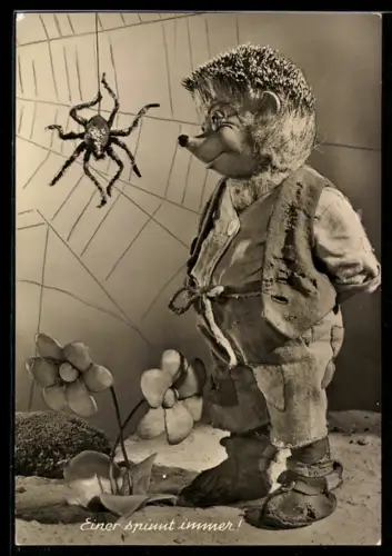 AK Igel Mecki und die Spinne im Netz