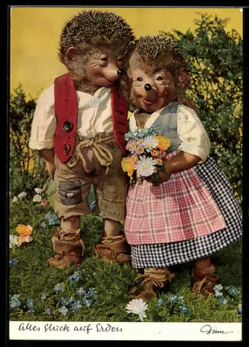 AK Igel Mecki hat sein Glück gefunden