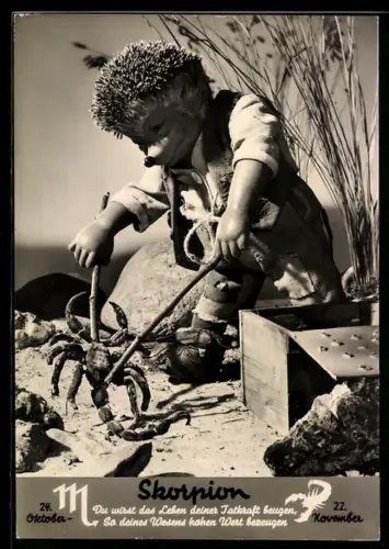 AK Igel Mecki mit einem Skorpion, Sternzeichen: Skorpion, 24.10. - 22.11.