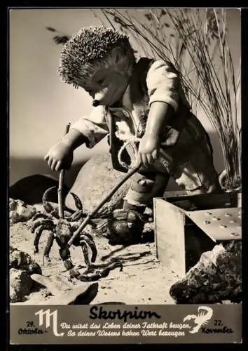 AK Igel Mecki mit einem Skorpion, Sternzeichen: Skorpion, 24.10. - 22.11.