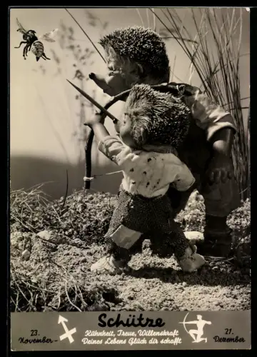 AK Sternzeichen Schütze, Mecki und sein Sohn zielen mit Pfeil und Bogen auf ein Insekt