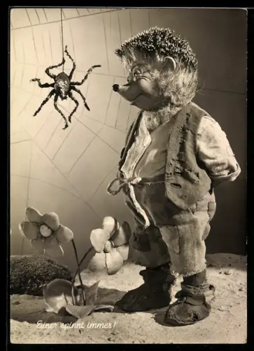 AK Igel Mecki und die Spinne im Netz