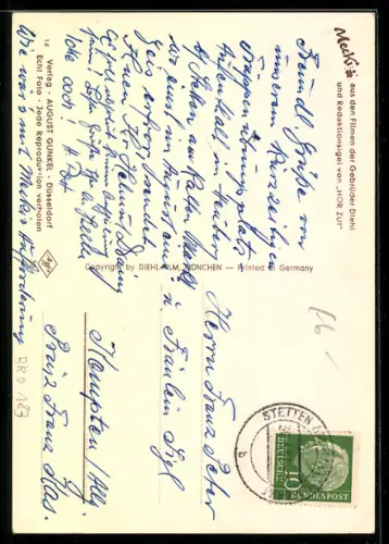 AK Igel Mecki mit Rucksack beim Wandern