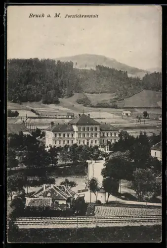 AK Bruck a. M., Forstlehranstalt