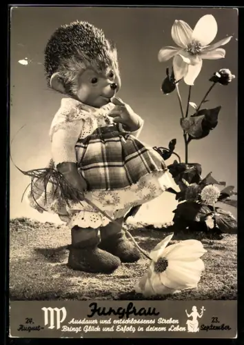 AK Igel Mecki's Frau im Garten, Sternzeichen Jungfrau
