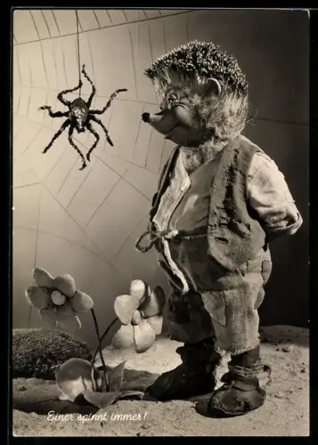 AK Igel Mecki und die Spinne im Netz