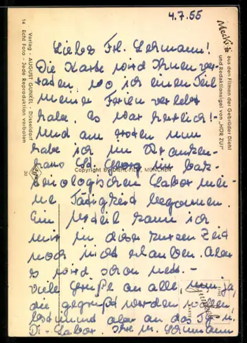 AK Igel Mecki mit Rucksack beim Wandern