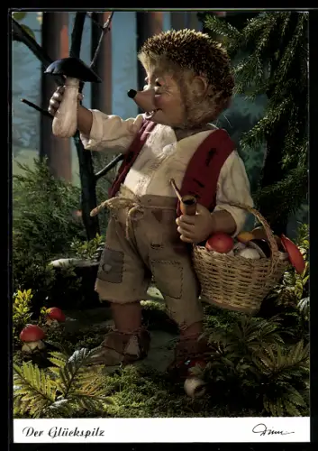 AK Mecki sammelt Pilze im Wald