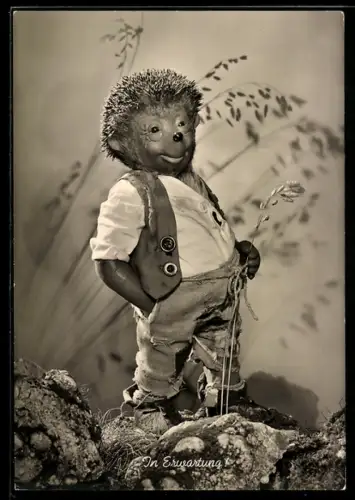 AK Igel Mecki in Erwartung