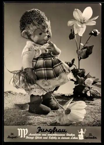 AK Igel Mecki's Frau im Garten, Sternzeichen Jungfrau