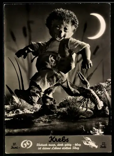 AK Sternzeichen Krebs, Krebs zwickt Mecki in den Hintern