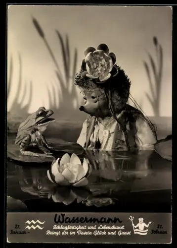 AK Igel Mecki und ein Frosch im Seerosenteich, Sternzeichen Wassermann, 21.1. - 18.2.