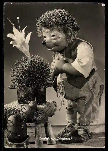 AK ...ei, wie bist Du schön!, Mecki bewundert einen blühenden Kaktus