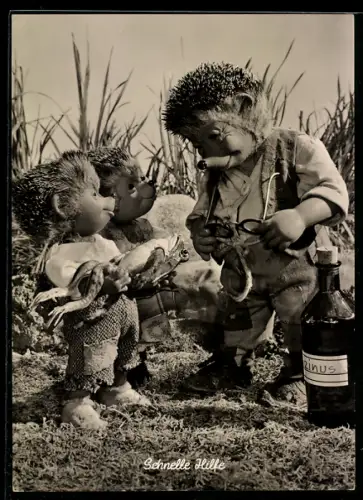 AK Mecki und seine Kinder verarzten einen Frosch