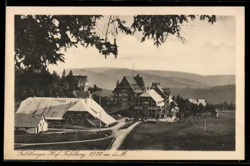 AK Feldberg /Schwarzw., Hotel Feldberger Hof