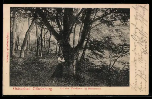 AK Glücksburg, Auf der Waldinsel im Mühlensee