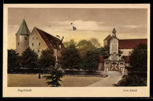 AK Ingolstadt, Altes Schloss
