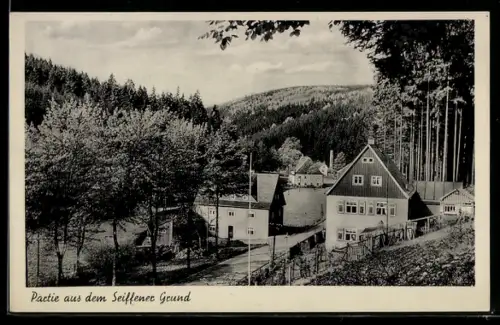 AK Seiffen /Erzgeb., Partie aus dem Seiffener Grund