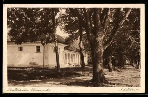 AK Bad Dürrheim /Schwarzwald, Inhalatorium und Allee