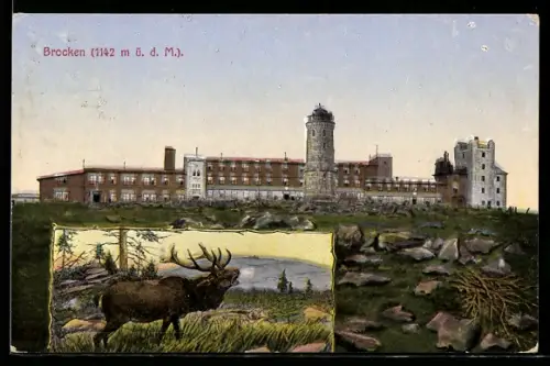 AK Brocken, Hotel und Aussichtsturm, Hirsch