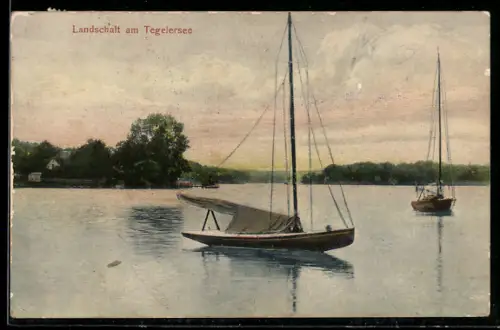 AK Berlin-Tegel, Landschaft am Tegelersee, Segelboote