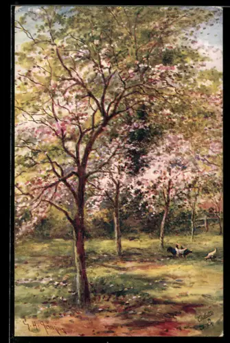 Künstler-AK Raphael Tuck & Sons Nr. 8936: Hühner auf Wiese bei Baumblüte