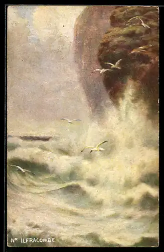 Künstler-AK Raphael Tuck & Sons Nr. 5350: Möwen über dem Meer