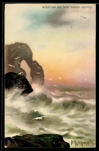 Künstler-AK Raphael Tuck & Sons Nr. 2570: Möwen über dem Meer