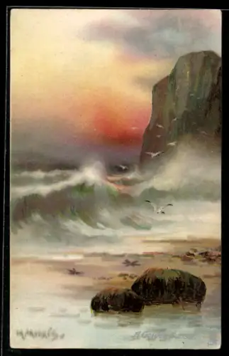 Künstler-AK Raphael Tuck & Sons Nr. 2762: Möwen über dem Meer