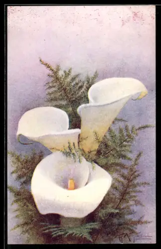 Künstler-AK Raphael Tuck & Sons Nr. 3143: Weisse Blumen