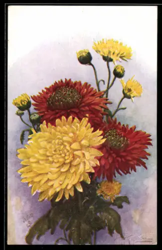 Künstler-AK Raphael Tuck & Sons Nr. 3106: Chrysanthemums in Bloom