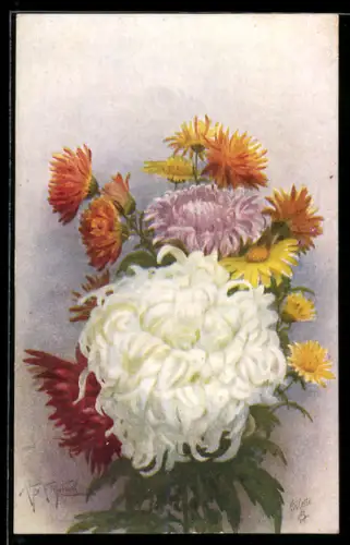Künstler-AK Raphael Tuck & Sons Nr. 3106: Weisse und rosafarbene Crysanthemen